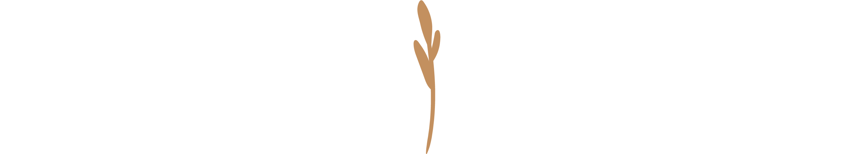 Juniper
