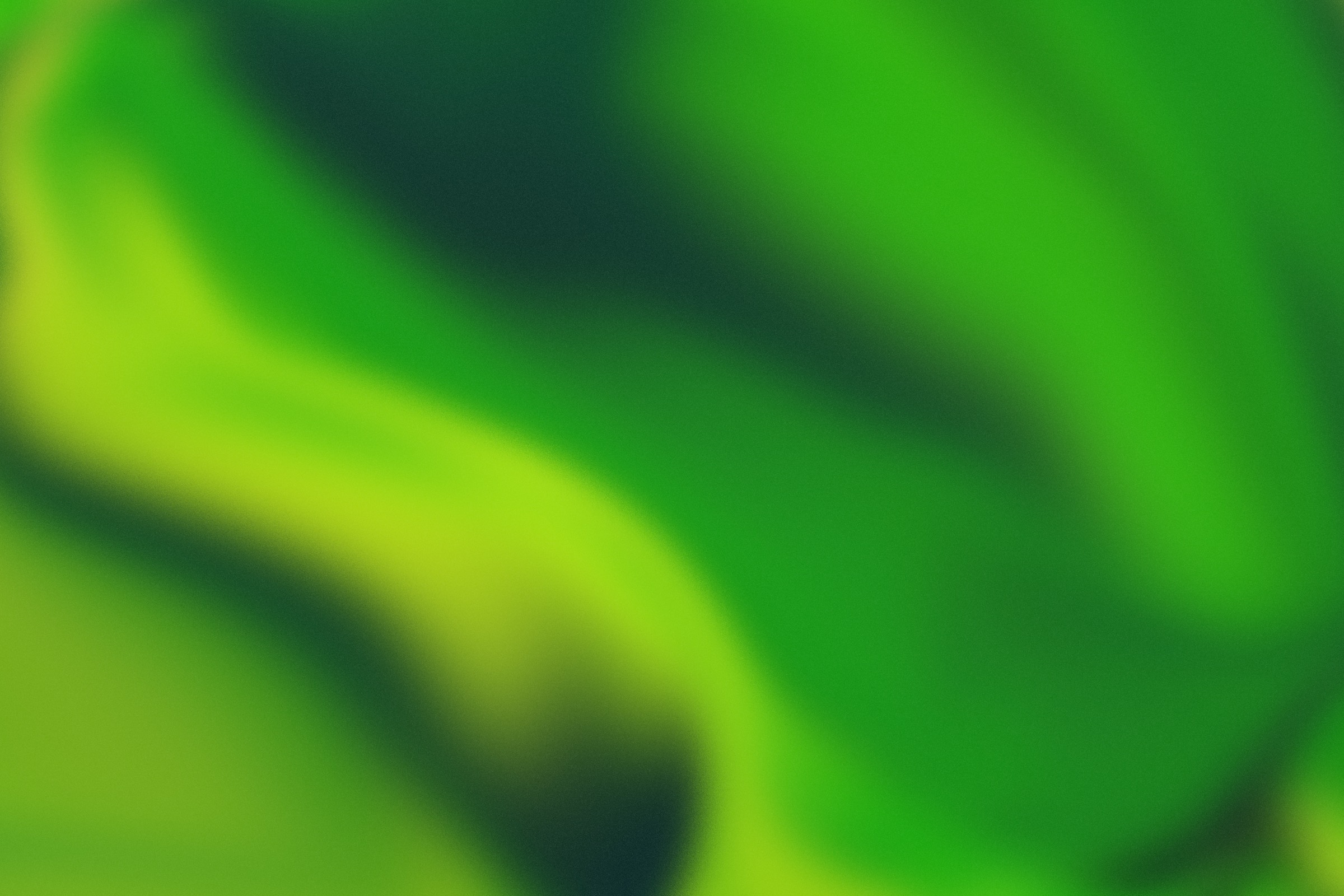 Soft green gradient backdrop
