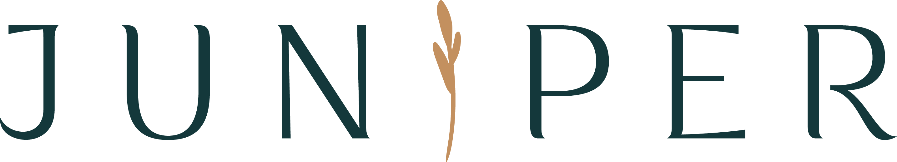 Juniper